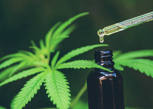 Calculate the Strength of CBD Oil